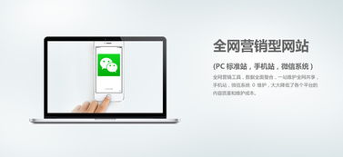 網(wǎng)絡營銷外包與個人互聯(lián)網(wǎng)服務 企業(yè)增長的數(shù)字化雙翼