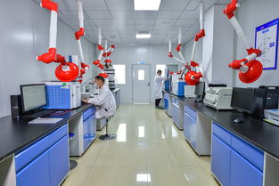 斯坦德檢測再次榮獲青島市“專精特新”稱號，生物農(nóng)藥技術(shù)研發(fā)成果獲肯定